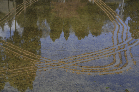c0093046_6551778.gif