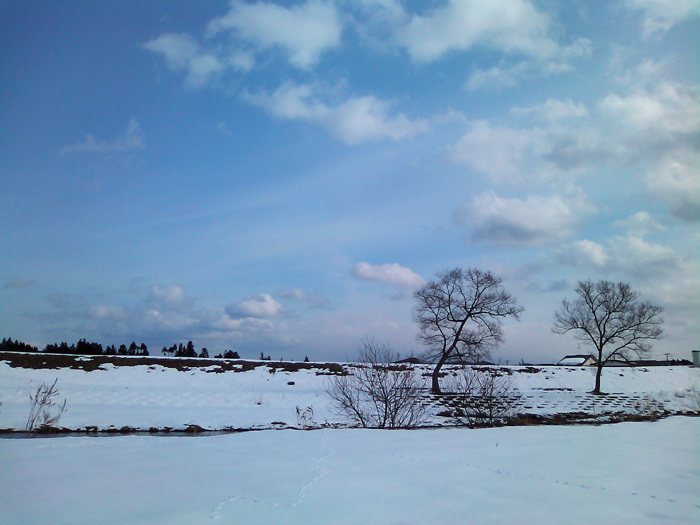 d0155148_1314472.jpg