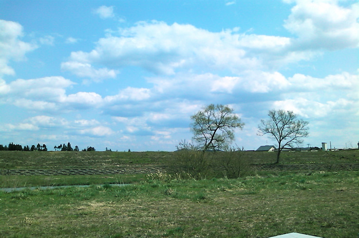 d0155148_13164280.jpg