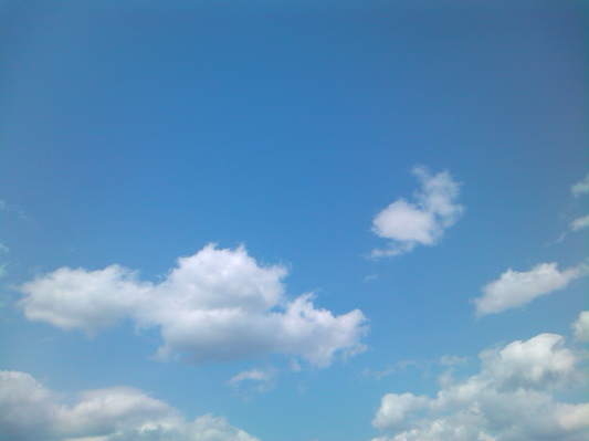 d0155148_13261846.jpg