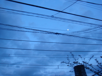 e0170048_1240342.jpg