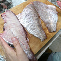 Z家のいただきもので晩ごはん〜今夜はタイ漁!_a0017350_0104433.jpg