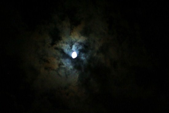e0126350_2265968.jpg
