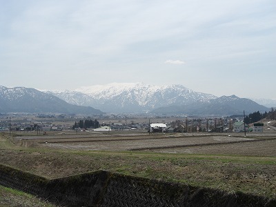 今日のできごと_a0084753_11504537.jpg