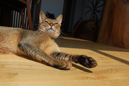 c0224154_22213621.jpg