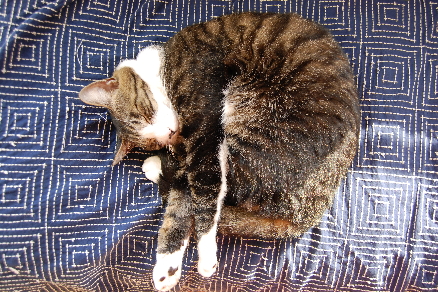 c0224154_22222155.jpg