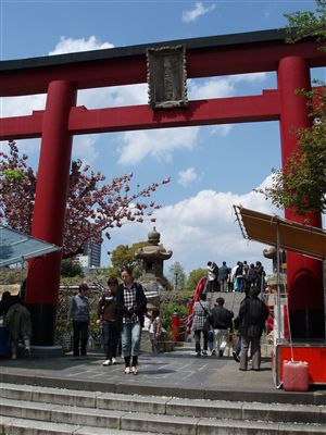 亀戸天神社の藤まつり_d0082655_15482724.jpg