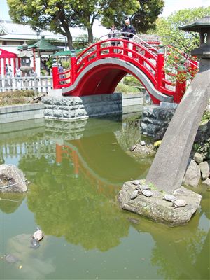 亀戸天神社の藤まつり_d0082655_15495173.jpg