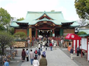 亀戸天神社の藤まつり_d0082655_15521662.jpg