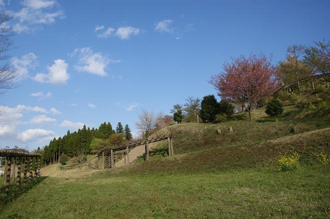 波野支所前ふれあい公園の・・・_b0123359_15331886.jpg