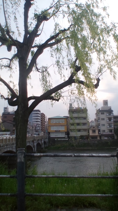 京阪七条から京都駅へ_b0185359_1812570.jpg