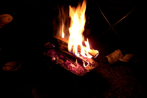 a0083760_3331794.jpg