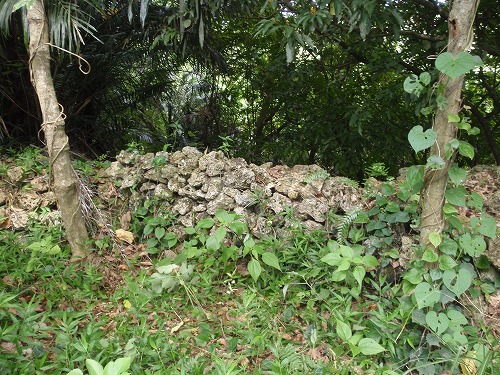 c0180460_14788.jpg
