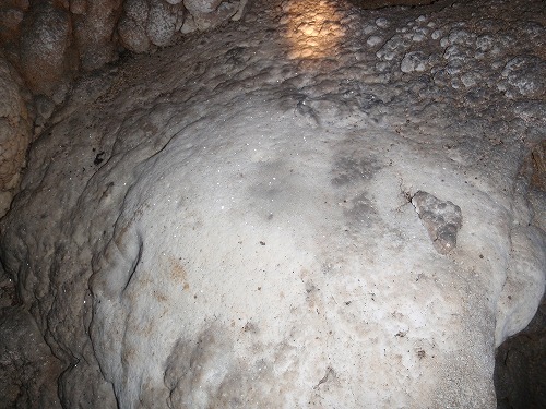 c0180460_17386.jpg