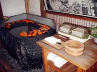 秘湯に行く。(2) ~ 大沢館という宿 ~ _f0232060_14431718.jpg