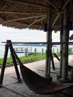 タイ旅行記⑧ ~海と森の生活~ _f0232060_19454870.jpg