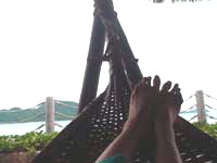 タイ旅行記⑧ ~海と森の生活~ _f0232060_1946272.jpg