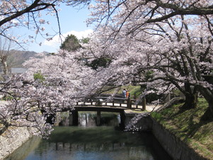 f0236260_06180.jpg