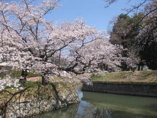 f0236260_094984.jpg