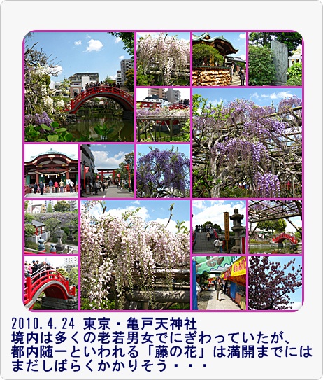a0052666_14626.jpg