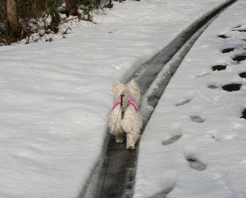 春のクンレン合宿　2010（その3）_c0039167_19554734.jpg