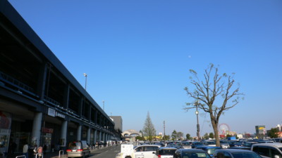 f0012674_1622988.jpg