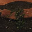 西麻布で楽しむ新しい和食 「ふるけん」_a0138976_2047898.jpg