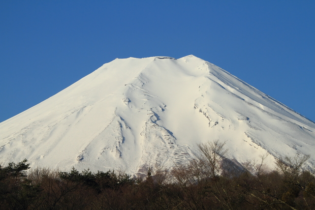 富士山と桜２_f0105478_1133058.jpg