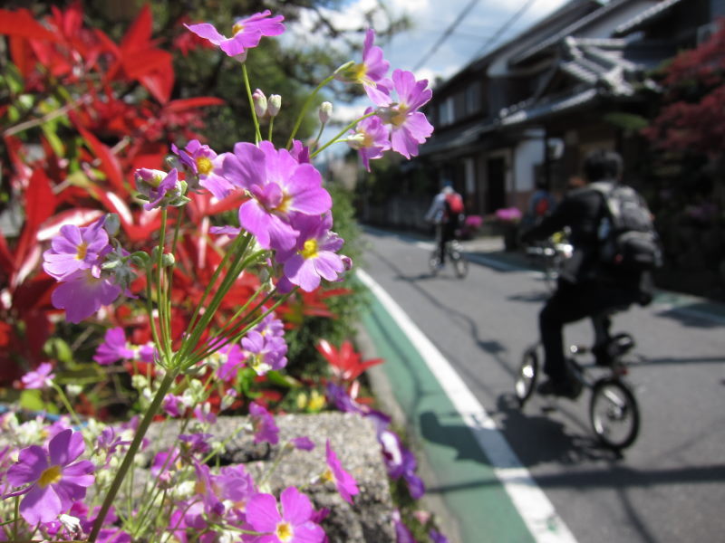 東海道五十七次ポタ：草津～水口（本編）_e0138081_13252534.jpg