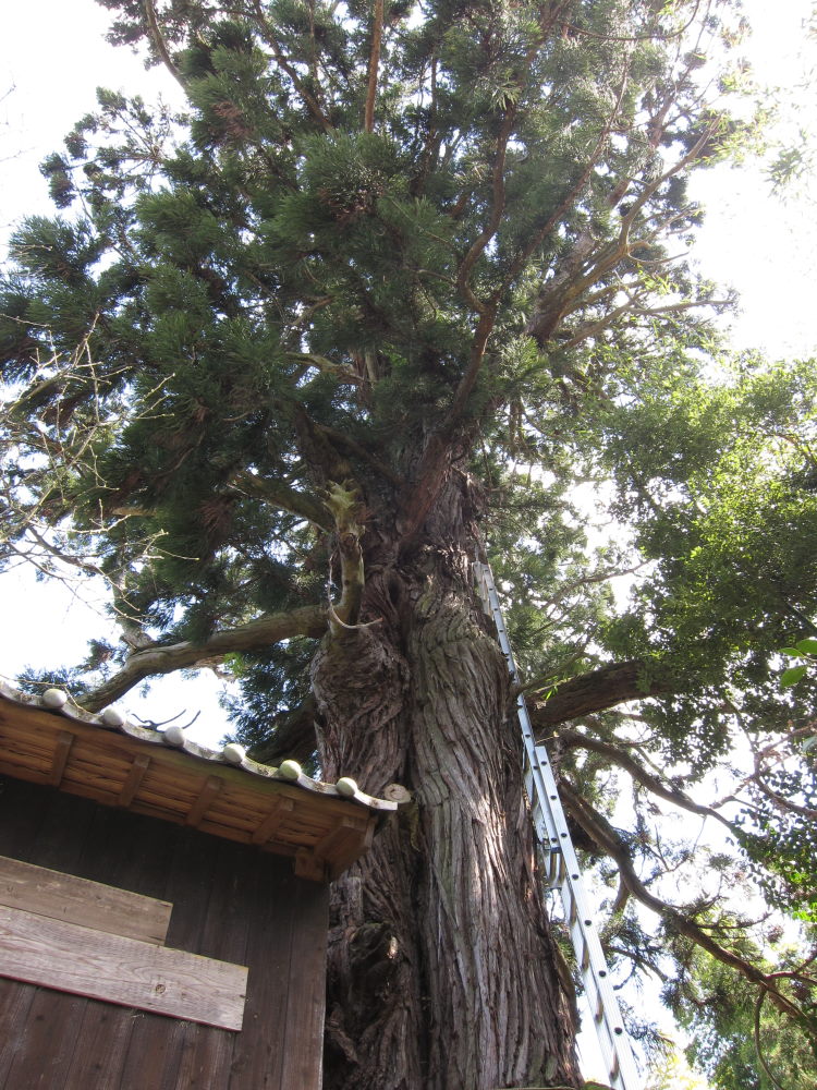 東海道五十七次ポタ：草津～水口（本編）_e0138081_13295430.jpg