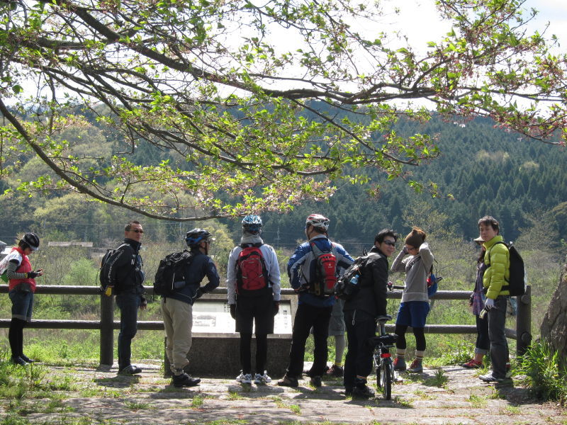 東海道五十七次ポタ：草津～水口（本編）_e0138081_13521525.jpg
