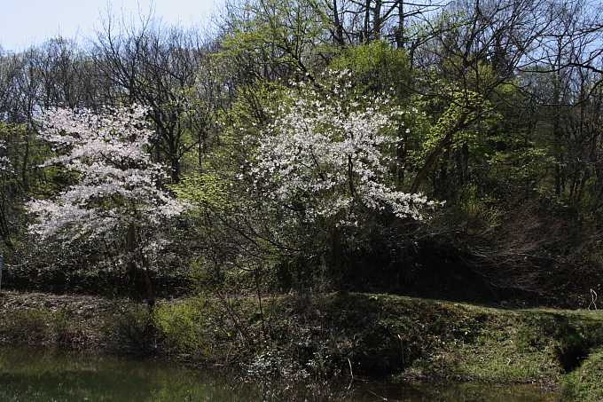 e0165983_1075146.jpg