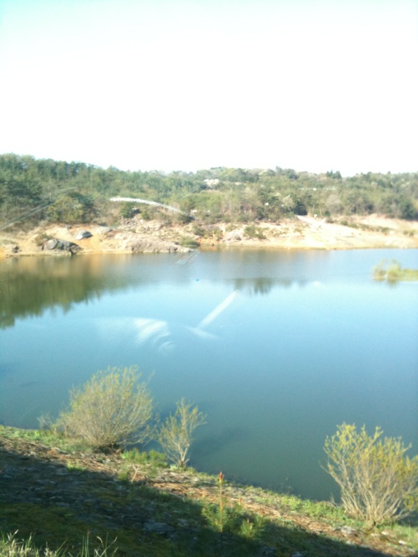 f0224383_14491928.jpg