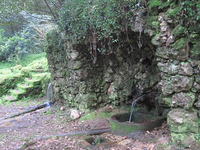 f0236388_17265029.jpg