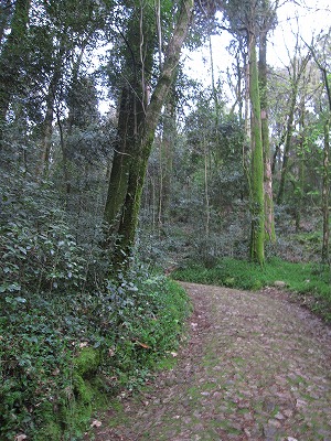 f0236388_17294983.jpg