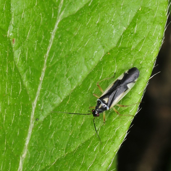 b0123591_17591391.jpg