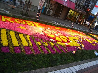 インフィオラータ発祥の地 あじさい通り_b0051598_22287.jpg