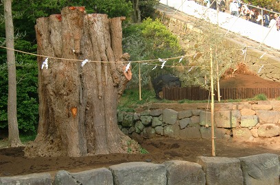 散歩2010年03月－鎌倉散策－鶴岡八幡宮_c0153302_14194814.jpg