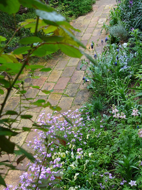 a0123003_16355162.jpg