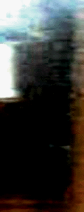 e0103408_12572531.gif