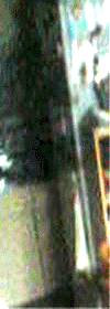 e0103408_131394.gif