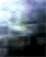e0103408_16592034.gif