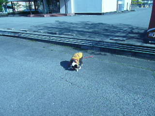 c0165909_10563741.jpg