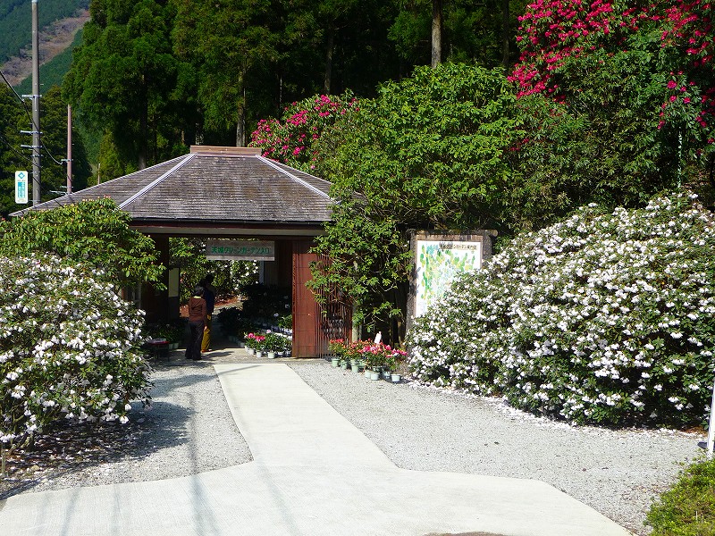 f0182513_90744.jpg