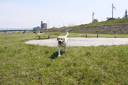 f0191413_10575164.jpg