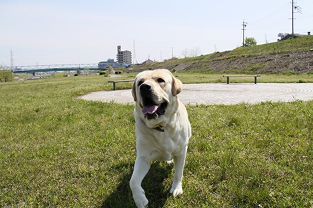 f0191413_11077.jpg