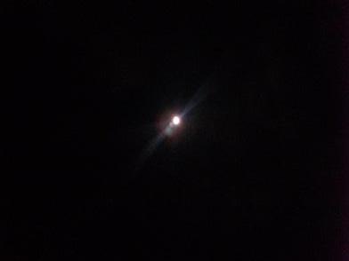 e0037314_1627264.jpg