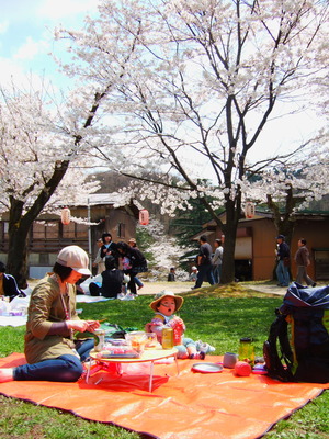 悠久山桜まつり　2010/4/26_f0225414_034111.jpg