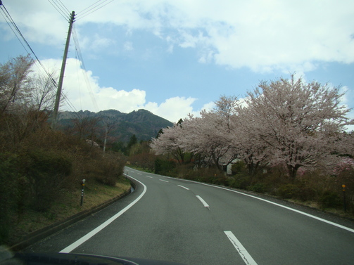 a0127015_62375.jpg