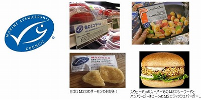 生物多様性と私たちのチャンス!/文・ペオ・エクベリ_a0083222_18114554.jpg